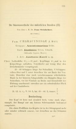 Steindachner, F., 1875